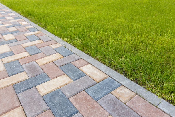 Best Best Driveway Pavers  in Oakland, NE